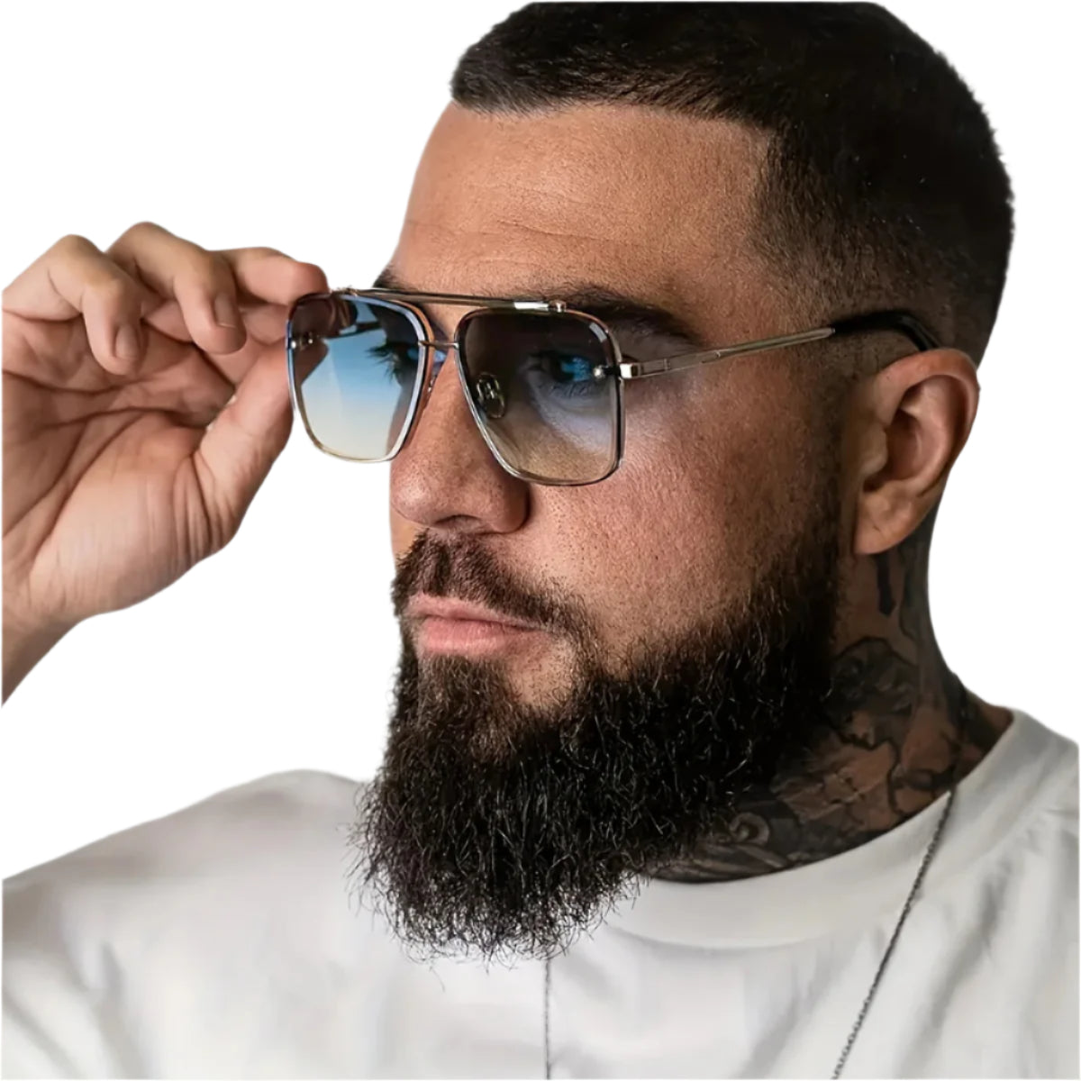 Silvery Double Blue Golden Glow